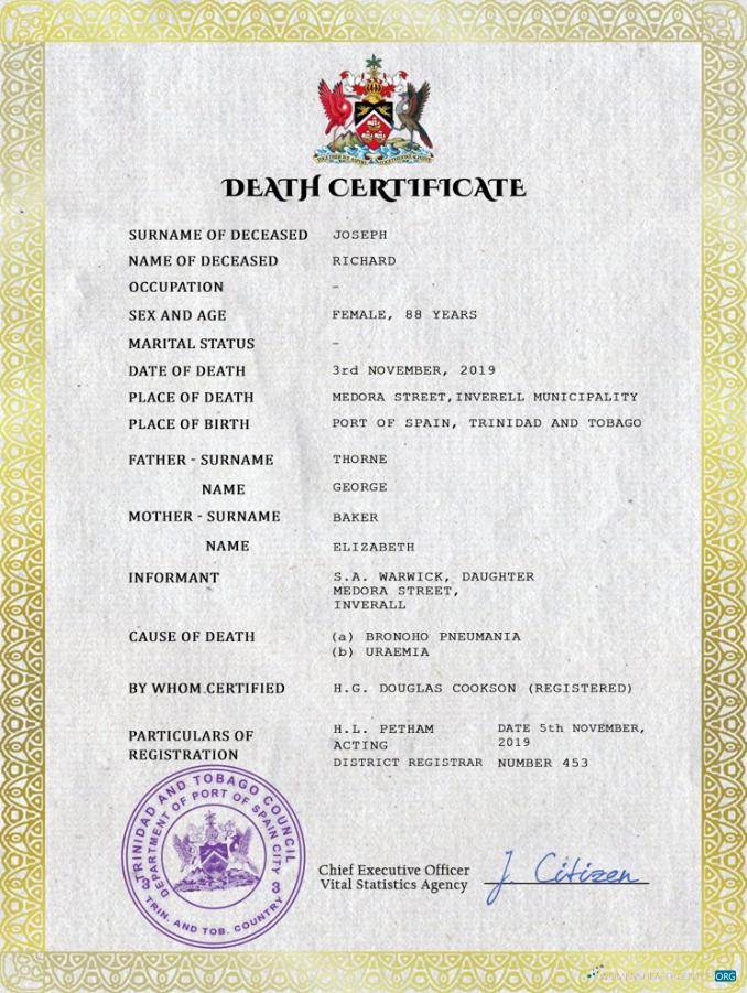 Download Trinidad and Tobago vital record death certificate PSD template Photoshop template